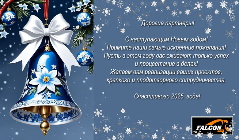 С новым 2025 годом!